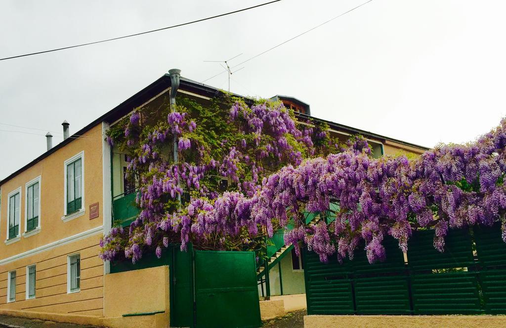 Guesthouse Natali Telavi Ngoại thất bức ảnh